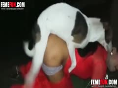 Dog and indian whore enjoy bestiality sex